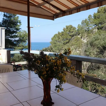 House Danica Vela Luka